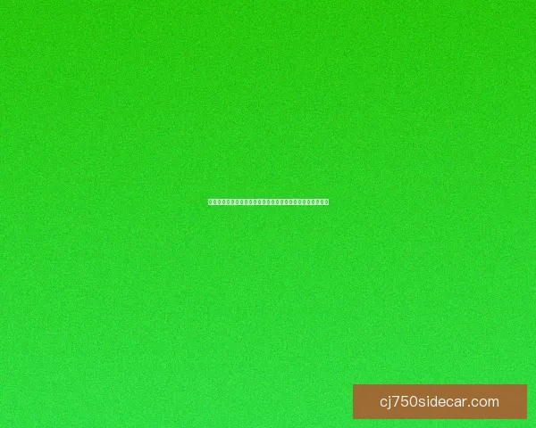 在爱之花园中绽放心灵的芬芳与温暖，共享人生的美好与宁静