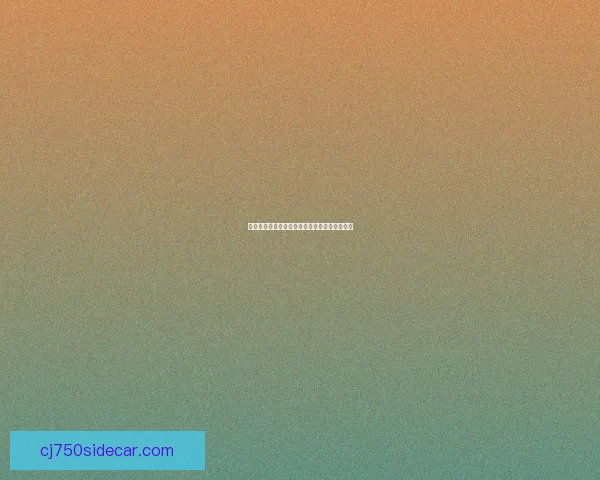 德玛西亚皇子的符文解析与搭配策略全方位指南